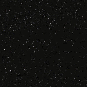 Meet your Posher, Kylee